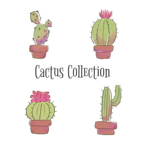 Collection de cactus mignon vecteur