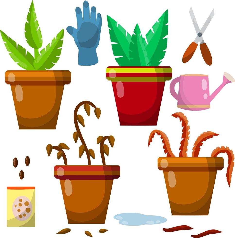 ensemble de national les plantes. vert et sec feuilles. équipement pour se soucier de fleurs. marron pot. dessin animé plat illustration. arrosage peut, ferme gants, les ciseaux et graines, flaque de l'eau vecteur