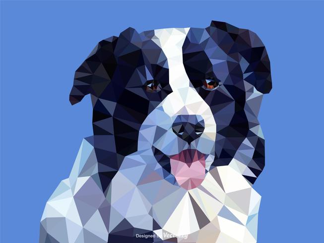 Portrait de chien Border Collie abstraite en Design vecteur Low Poly