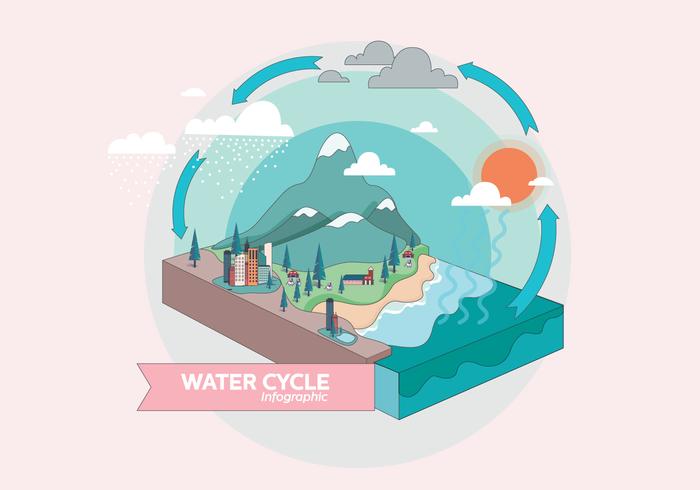 Cycle de l'eau infographique vecteur 3