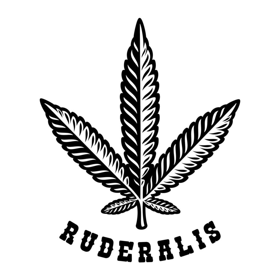 illustration monochrome d'une feuille de cannabis ruderalis dans le style de gravure. vecteur