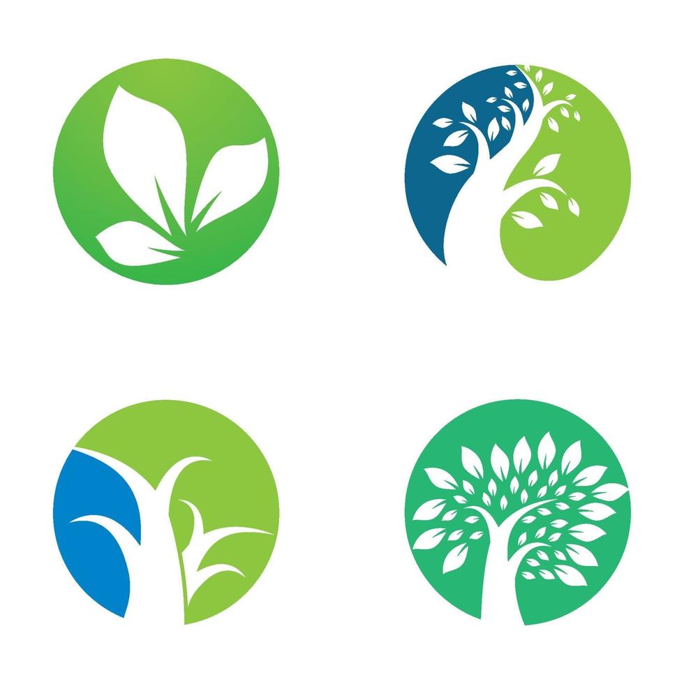 conception d'images de logo d'arbre vecteur