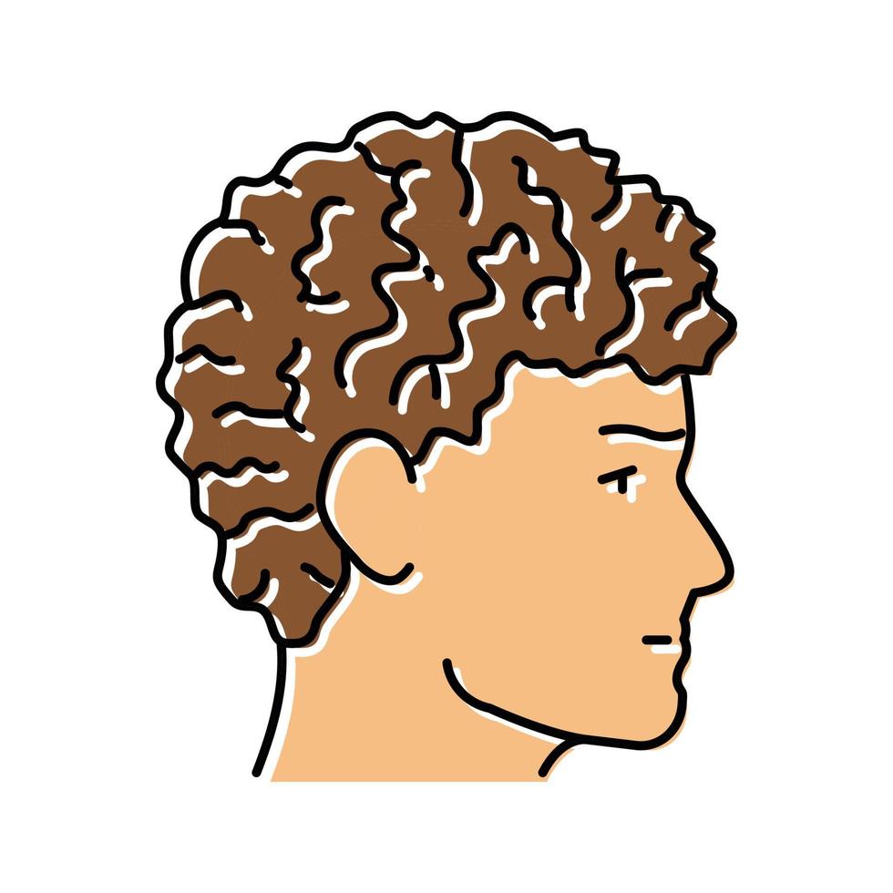 frisé Masculin coiffure Masculin Couleur icône vecteur illustration