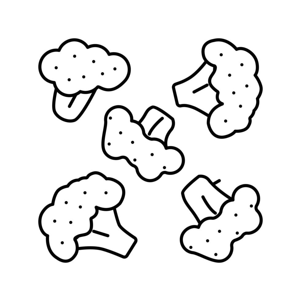 pièce brocoli ligne icône vecteur illustration
