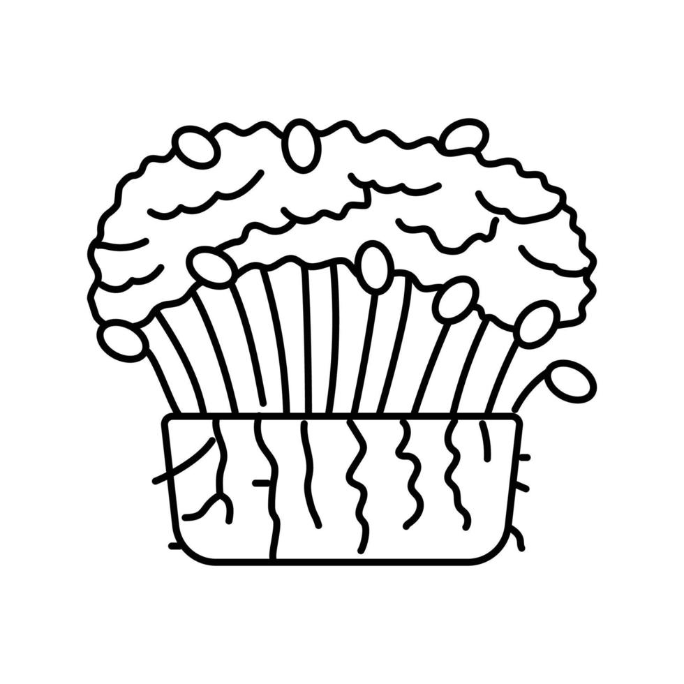 brocoli microgreen ligne icône vecteur illustration