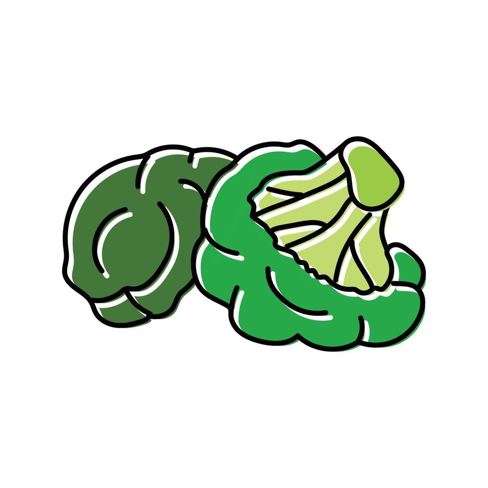 brocoli Frais Couleur icône vecteur illustration