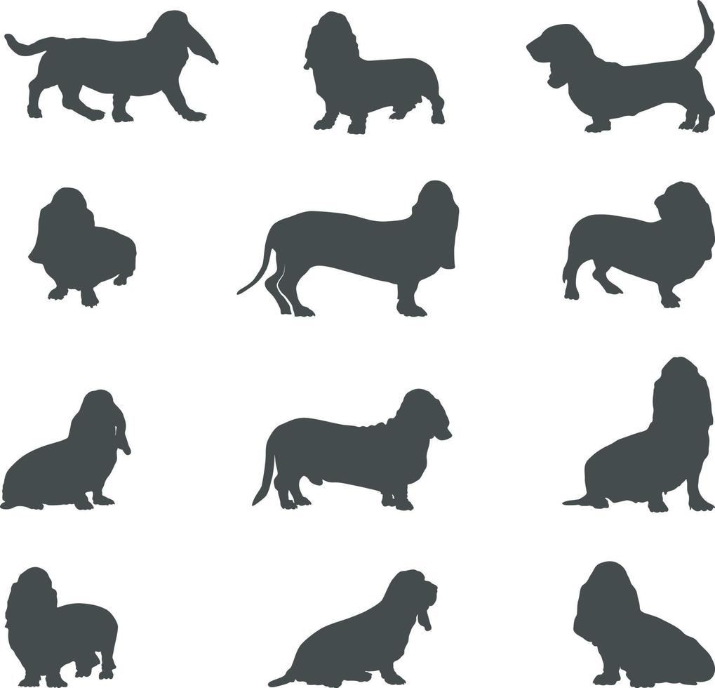 basset chien chien silhouettes, basset chien silhouette, basset chien chien svg , basset chien chien vecteur