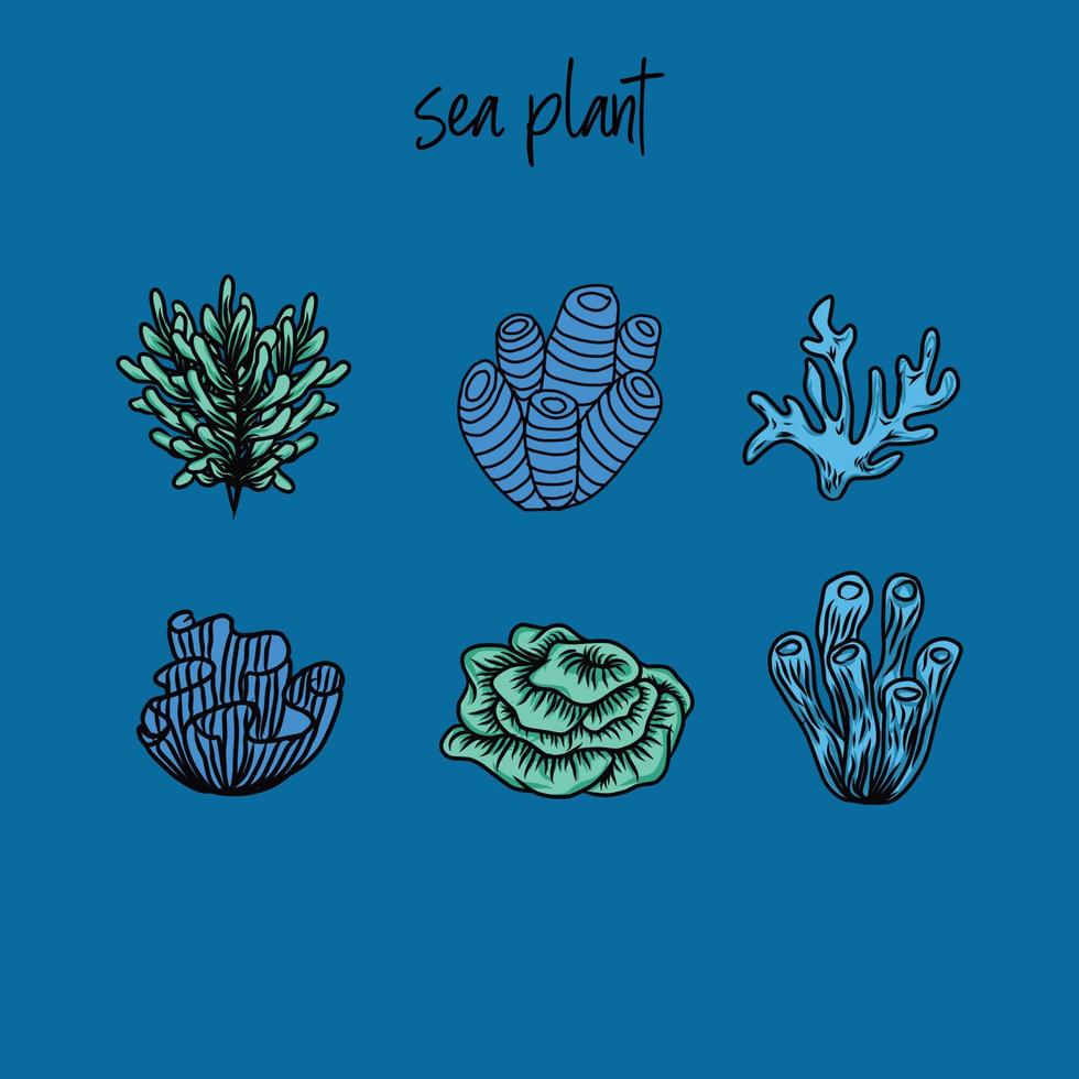 illustration de mer plante vecteur