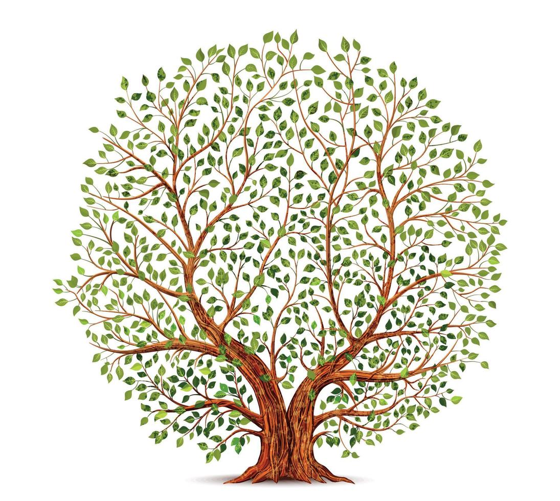 vieux arbre vecteur illustration