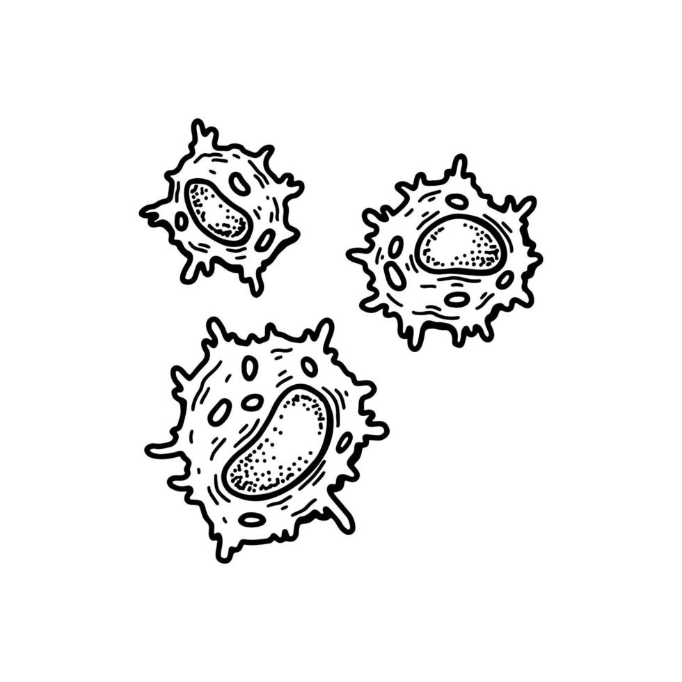 Naturel tueur cellule isolé sur blanc Contexte. main tiré scientifique microbiologie vecteur illustration dans esquisser style. adaptatif immunitaire système