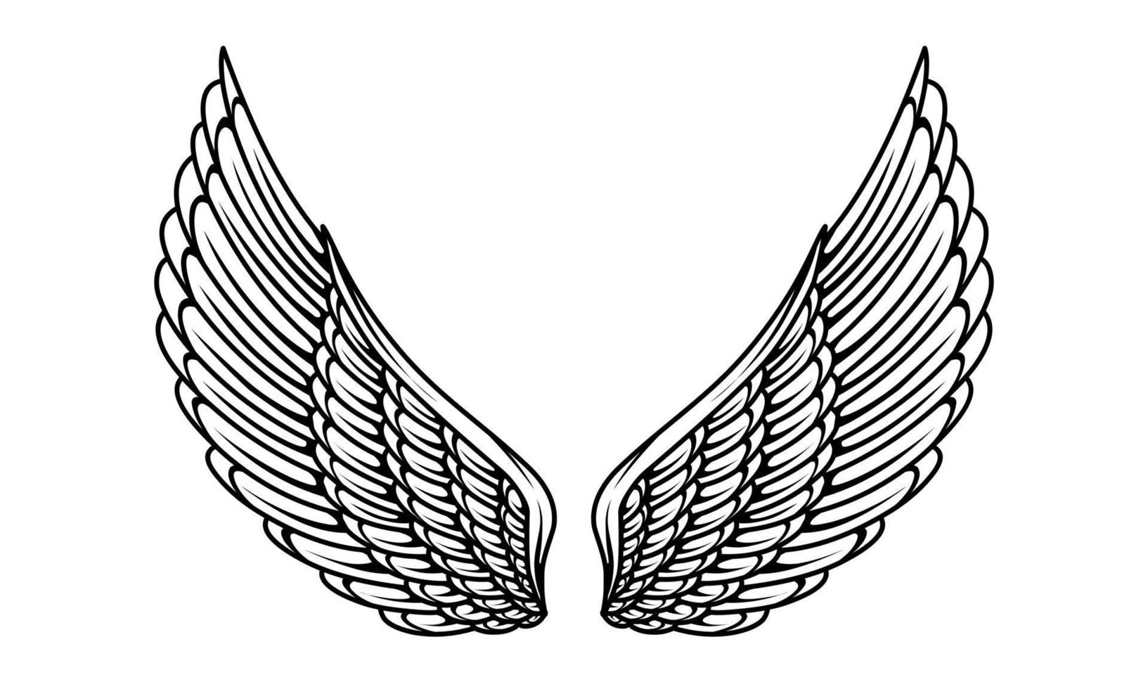 une noir et blanc illustration de une paire de ange ailes vecteur