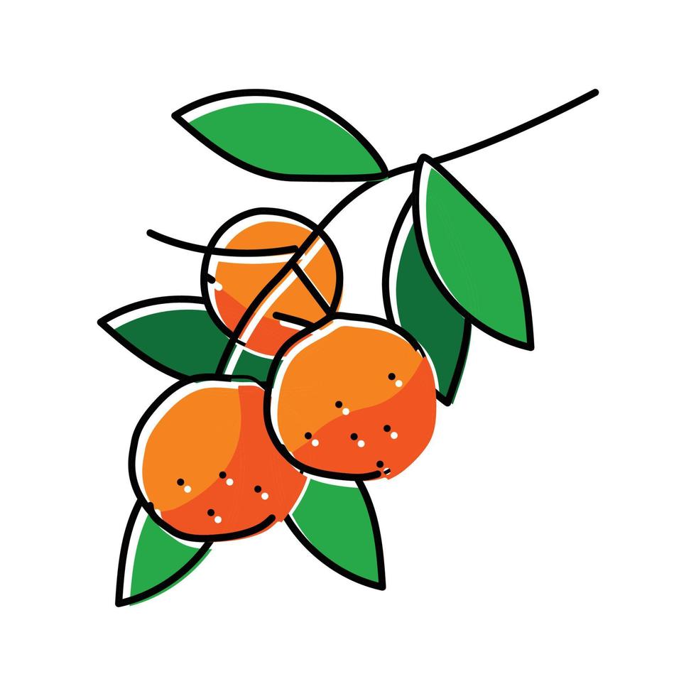 branche mandarin Orange Couleur icône vecteur illustration