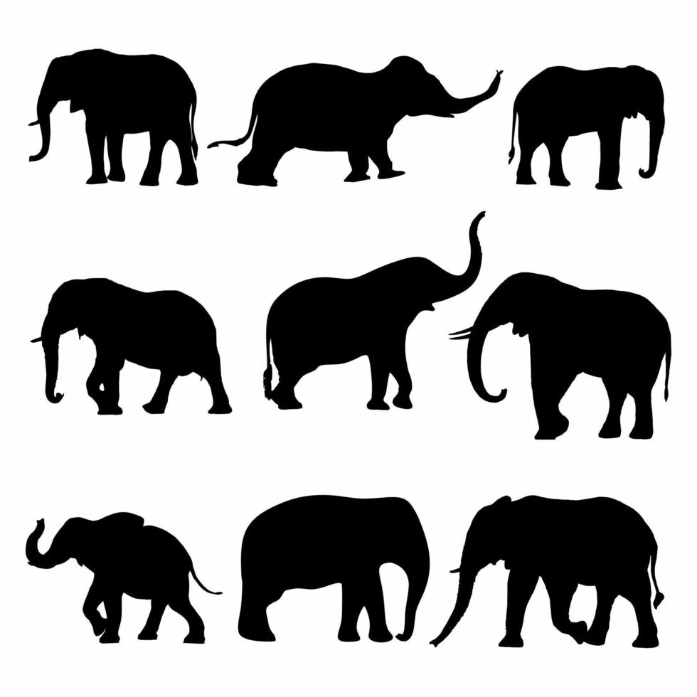 silhouette de l'éléphant paquet icône noir blanc vecteur
