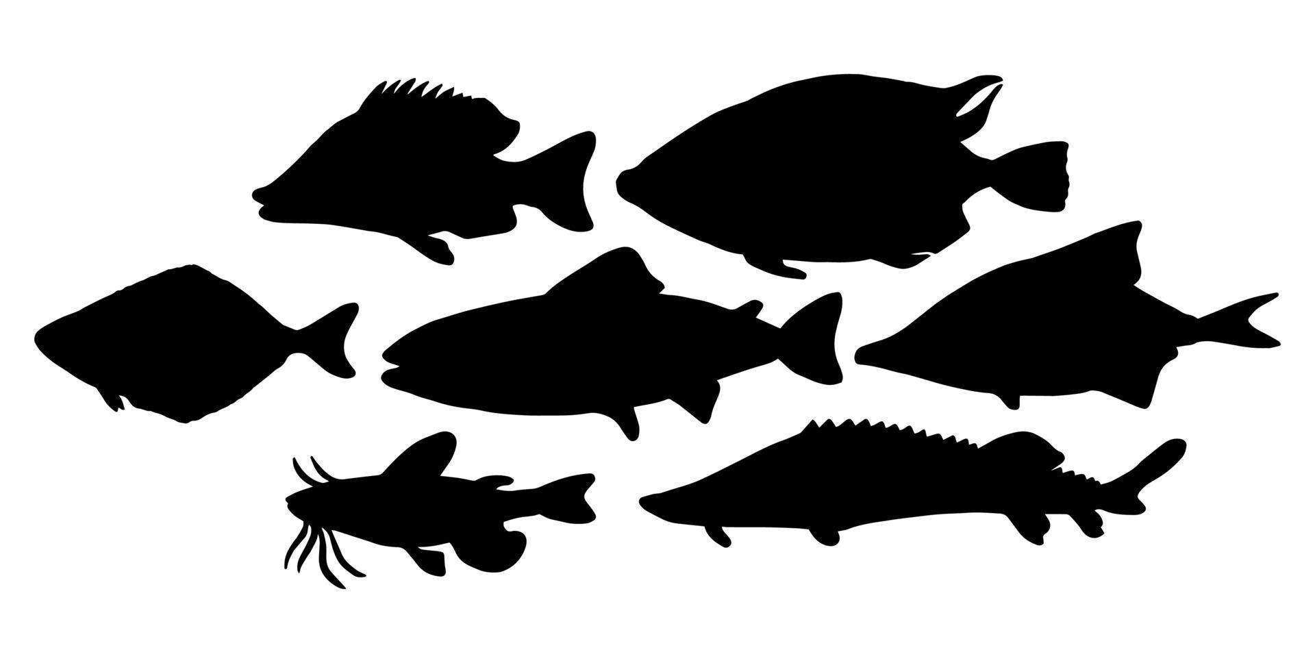 vecteur silhouettes de mer et rivière poisson