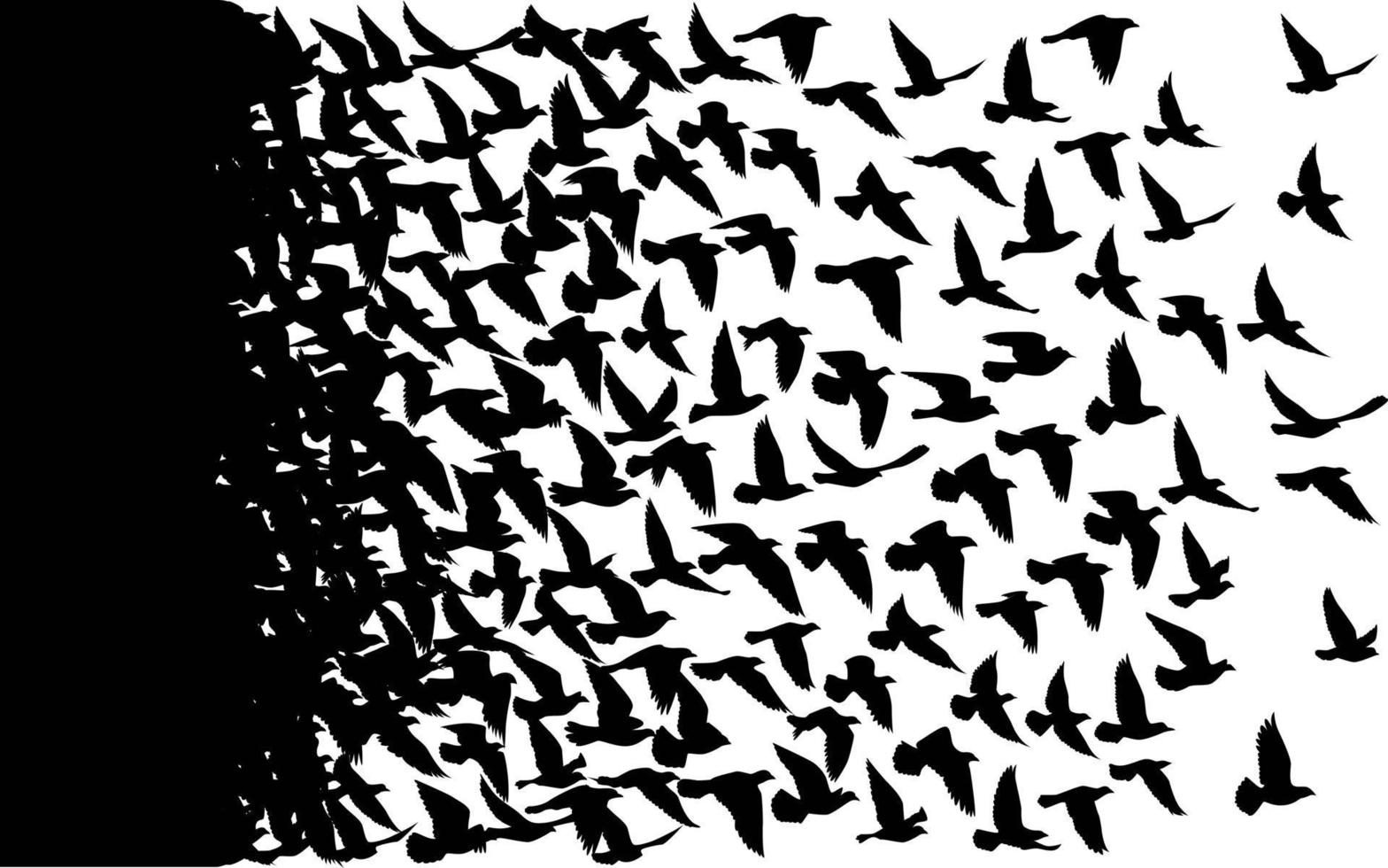 silhouettes d'oiseaux volants sur fond blanc. illustration vectorielle. oiseau isolé qui vole. conception de tatouage. vecteur