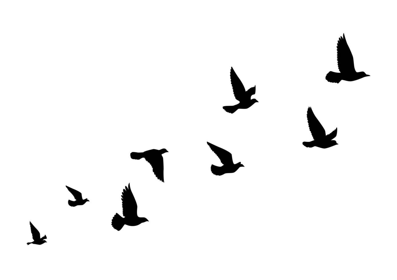 silhouettes d'oiseaux volants sur fond blanc. illustration vectorielle. oiseau isolé qui vole. conception de tatouage. vecteur