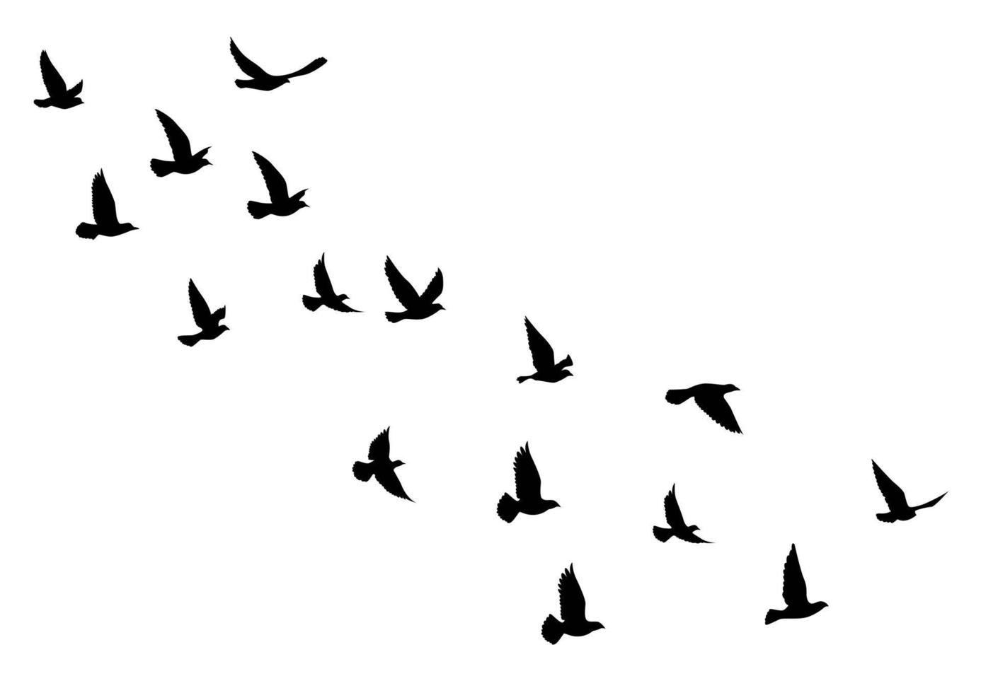 silhouettes d'oiseaux volants sur fond blanc. illustration vectorielle. oiseau isolé qui vole. conception de tatouage. vecteur