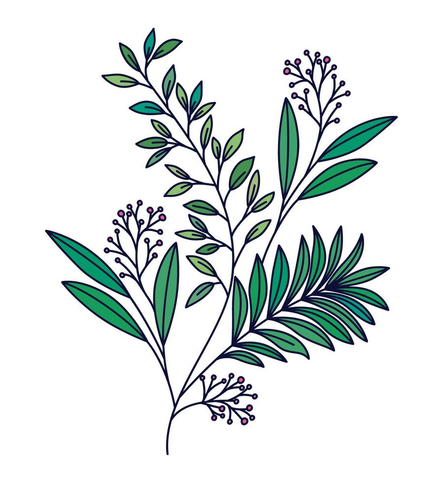 illustration de branche d'olivier vecteur