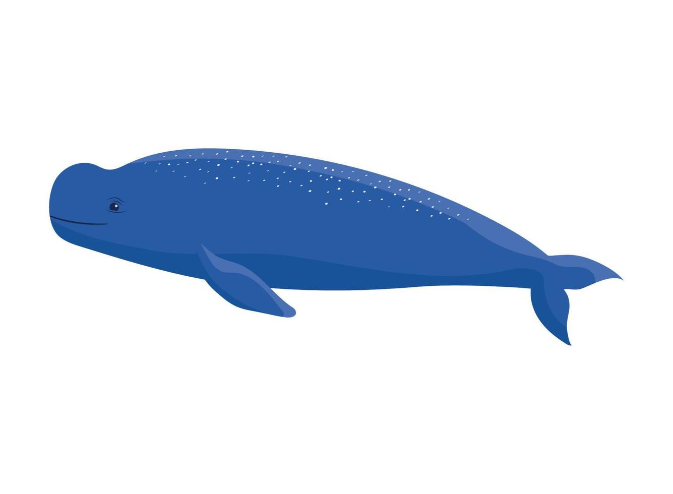 béluga baleine conception vecteur