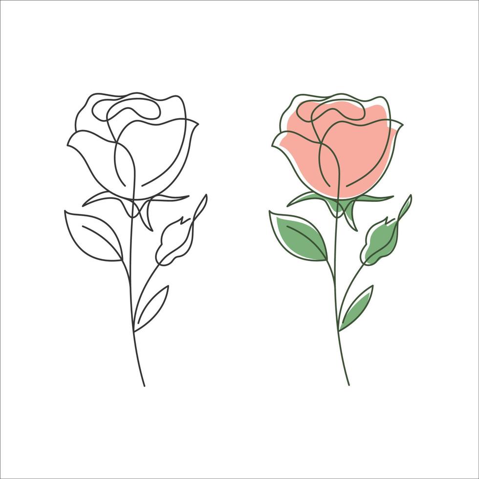 Rose fleur linéaire dessin. décoratif magnifique Rose fleur avec mince doubler. minimaliste Rose illustration. vecteur illustration