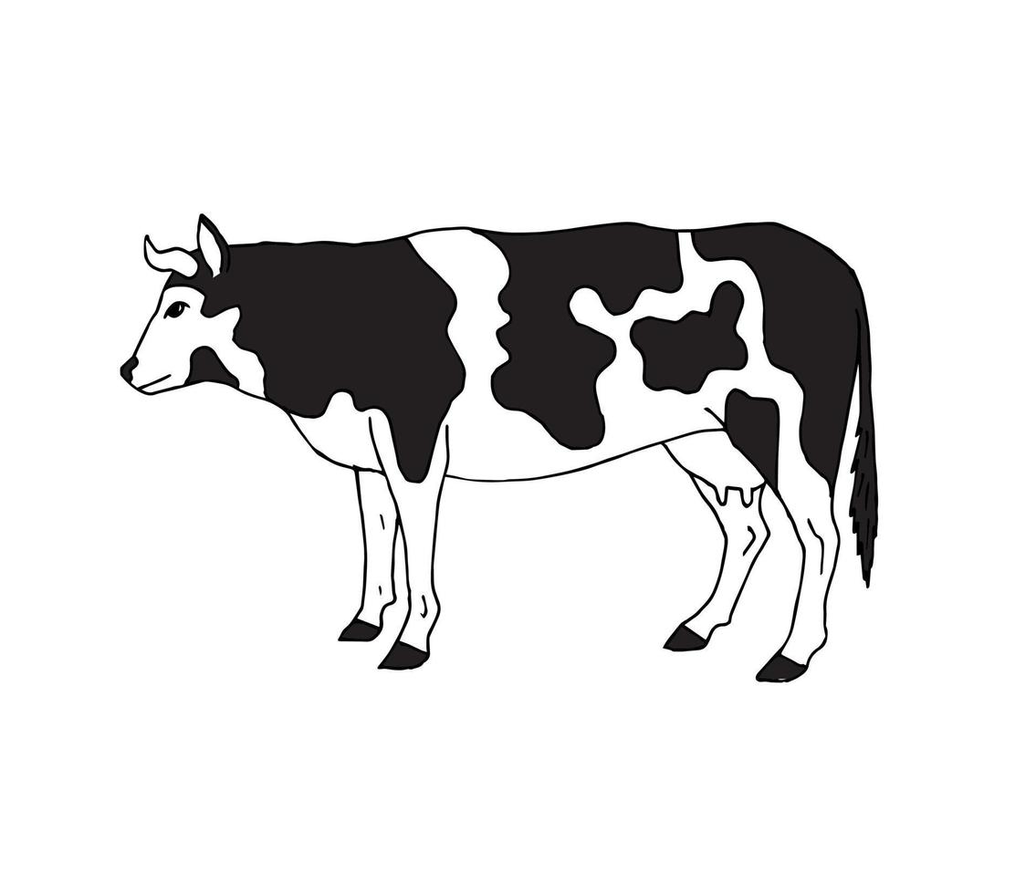vecteur main tiré griffonnage esquisser vache