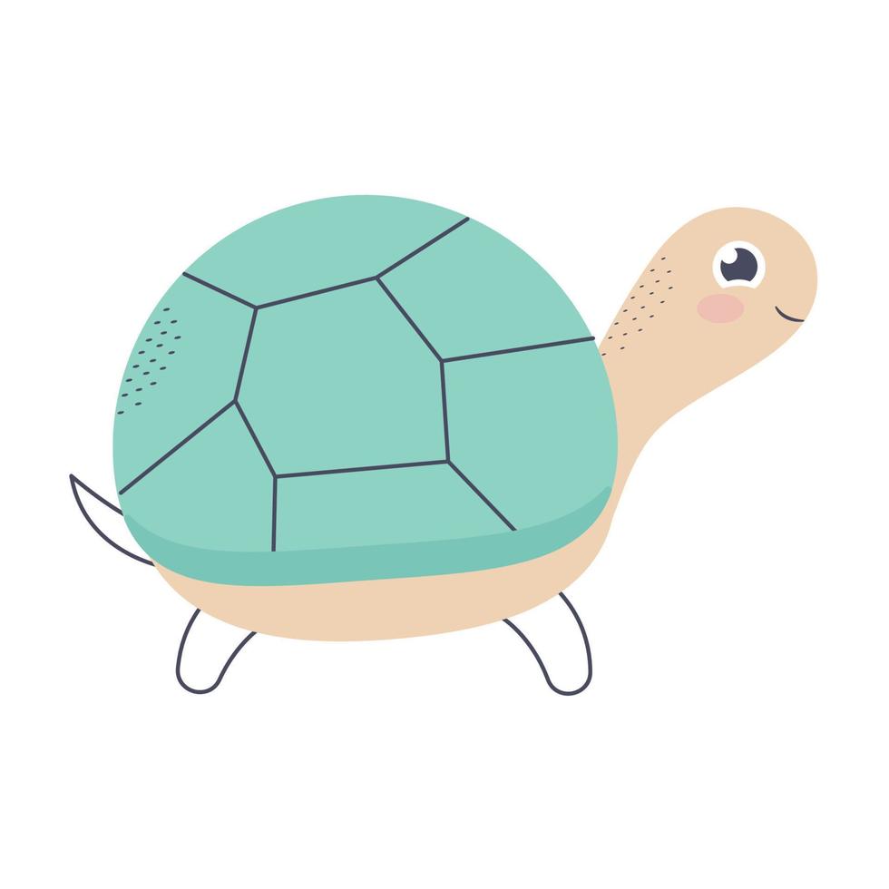 illustration de tortue verte vecteur