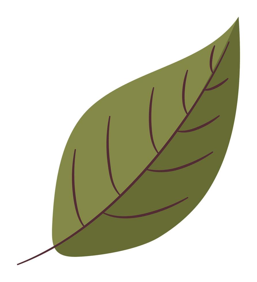 illustration de feuille verte vecteur