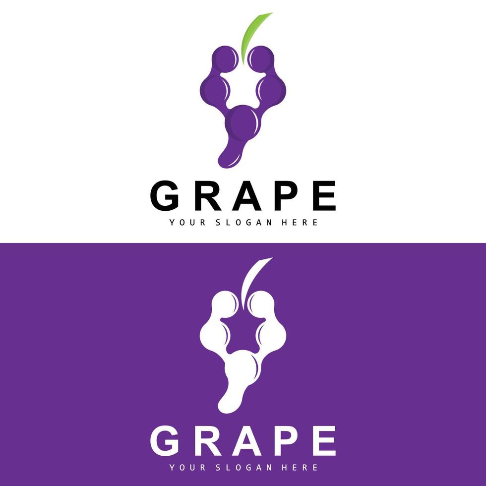 grain de raisin fruit logo, cercle style fruit conception, grain de raisin ferme vecteur, du vin boire, la nature icône, illustration modèle vecteur