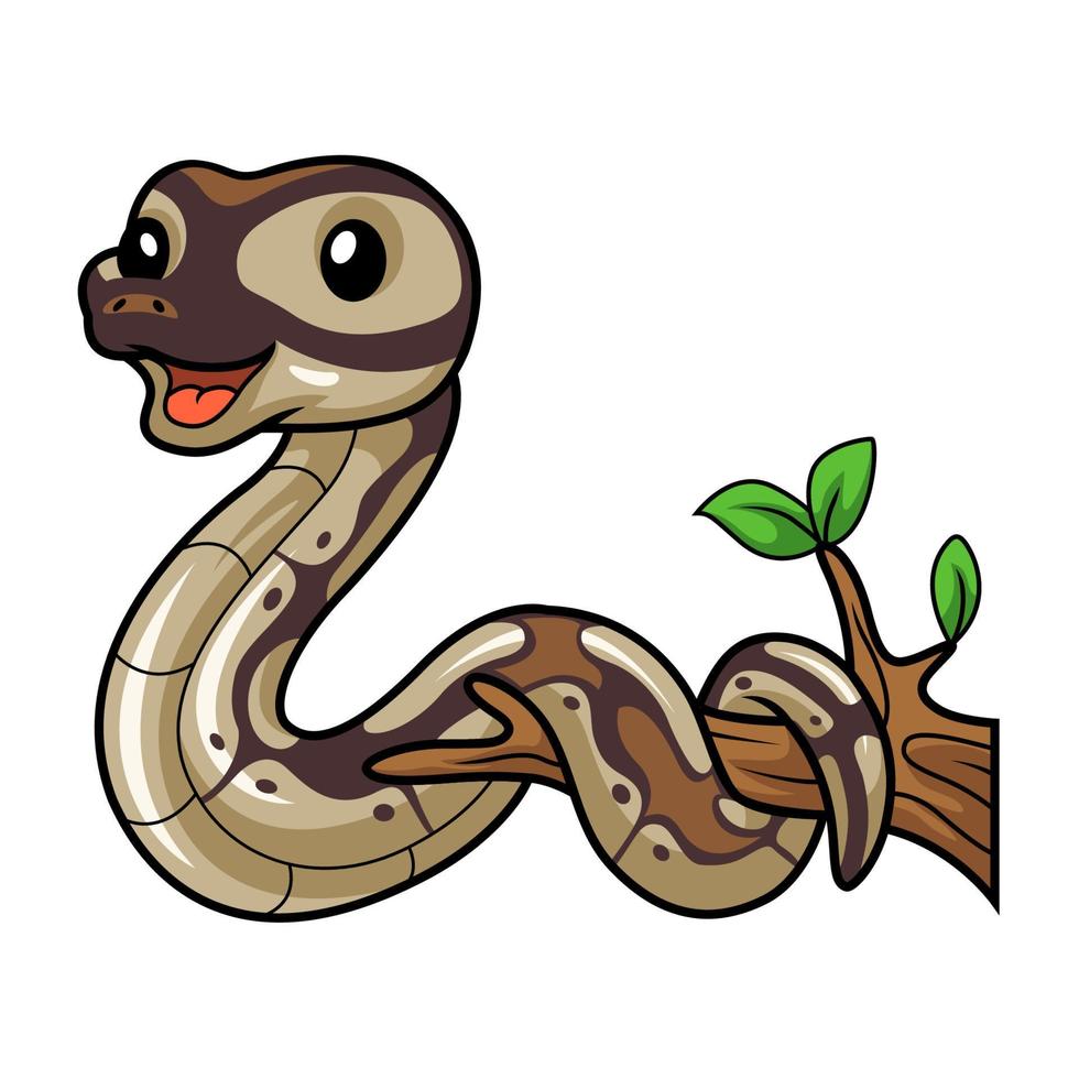 mignonne noir tête beurre Balle python dessin animé sur arbre branche vecteur