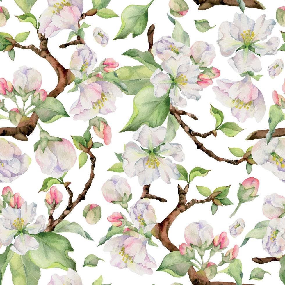 main tiré aquarelle Pomme fleurir, blanc et rouge fleurs et vert feuilles. sans couture modèle. isolé objet sur blanc Contexte. conception pour mur art, mariage, imprimer, tissu, couverture, carte. vecteur