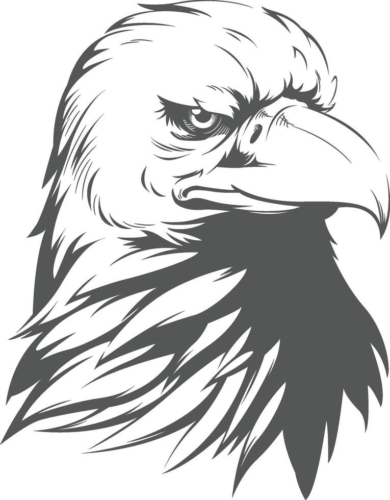 Pygargue à tête blanche faucon faucon tête silhouette dessin illustration noir vecteur
