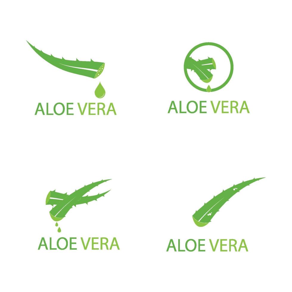 logo icône aloe vera vecteur