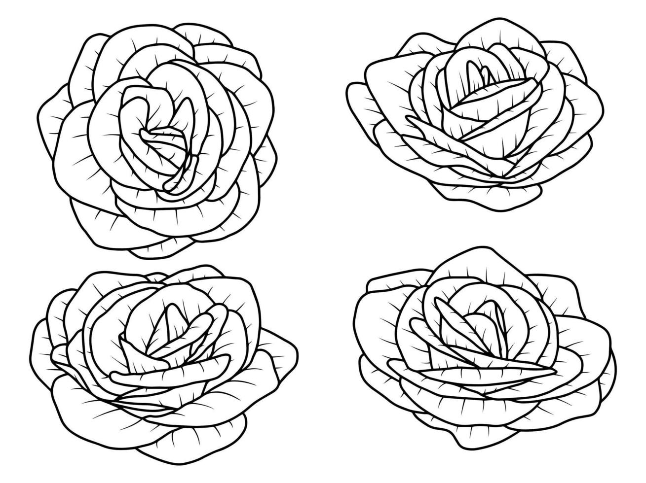 main tiré fleur esquisser ligne art illustration ensemble vecteur