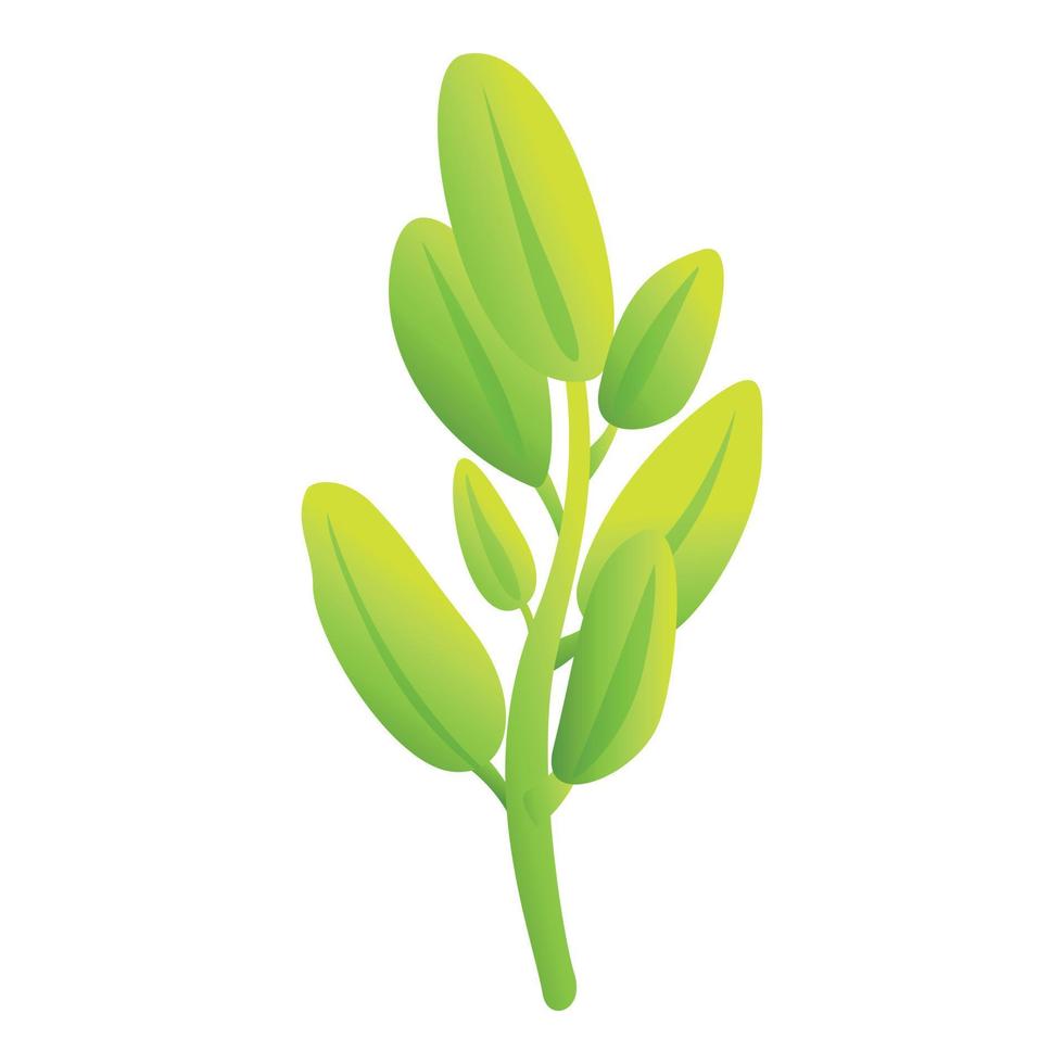 sauge plante icône dessin animé vecteur. herbe feuille vecteur