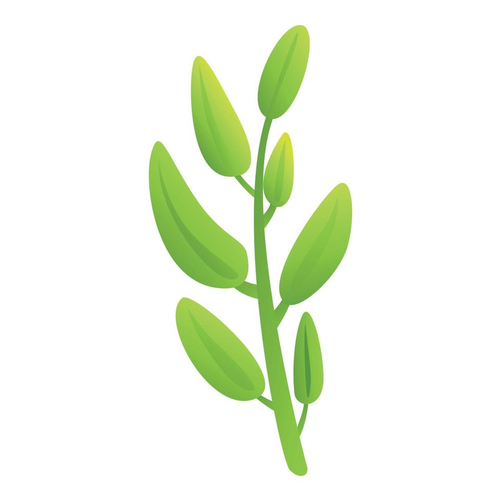 brindille sauge icône dessin animé vecteur. feuille plante vecteur