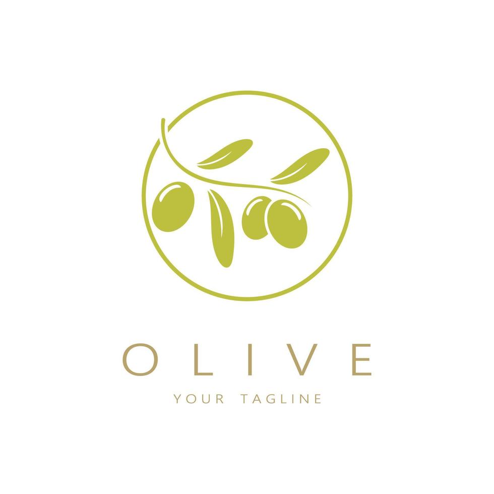 feuille plante logo et Naturel olive fruit .à base de plantes, olive huile, cosmétique ou beauté,business,cosmétologie,agriculture,écologie concept,spa,santé,yoga centre, vecteur