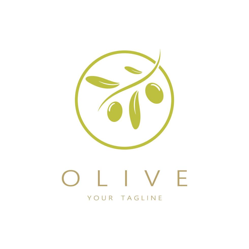 feuille plante logo et Naturel olive fruit .à base de plantes, olive huile, cosmétique ou beauté,business,cosmétologie,agriculture,écologie concept,spa,santé,yoga centre, vecteur