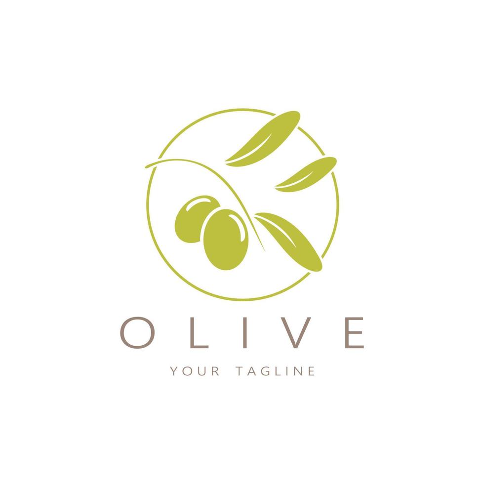 feuille plante logo et Naturel olive fruit .à base de plantes, olive huile, cosmétique ou beauté,business,cosmétologie,agriculture,écologie concept,spa,santé,yoga centre, vecteur