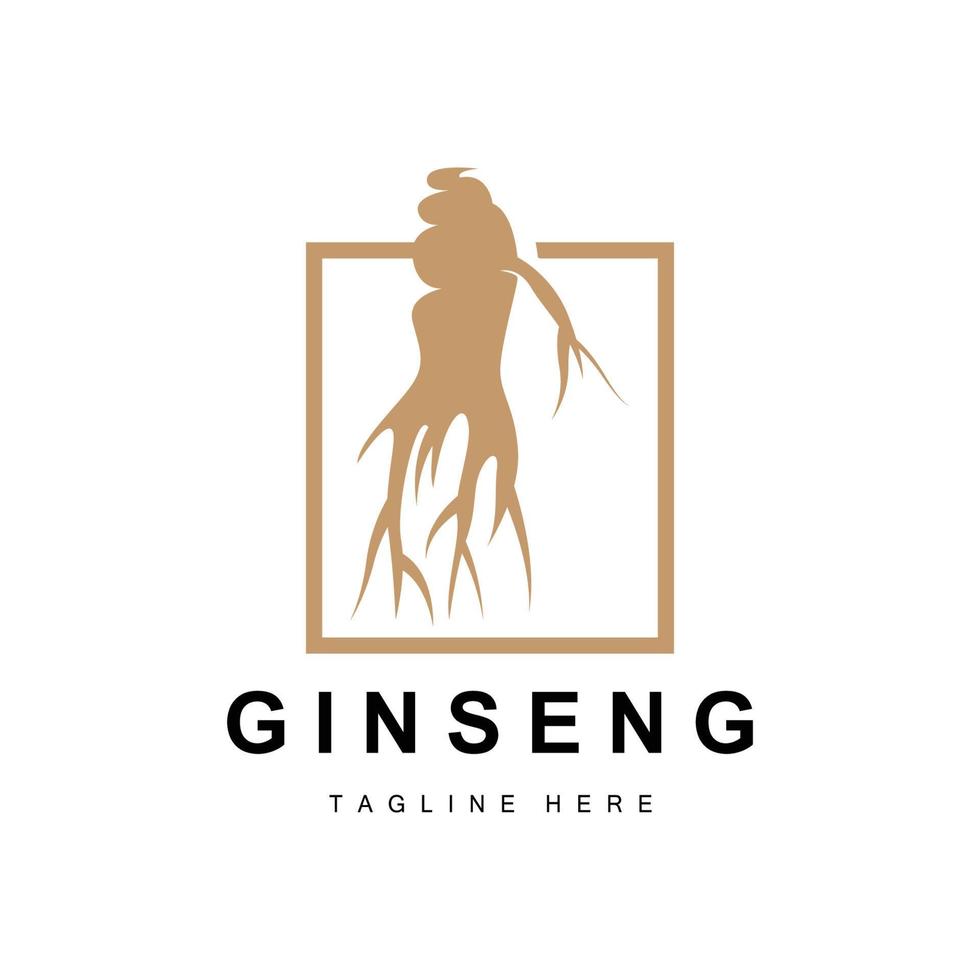 ginseng logo, à base de plantes plante vecteur, Naturel à base de plantes médecine, ginseng à base de plantes boisson icône vecteur