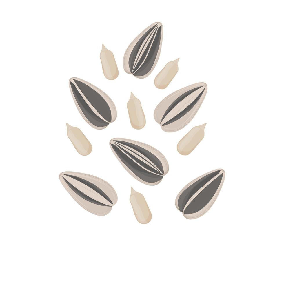 réaliste tournesol la graine casse-croûte kuaci kwaci vecteur illustration logo