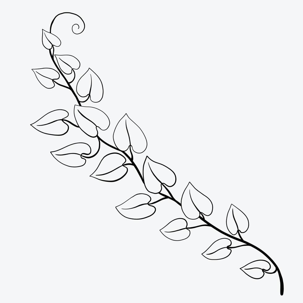 lierre floral dessinant un design plat d'ornement décoratif. vecteur