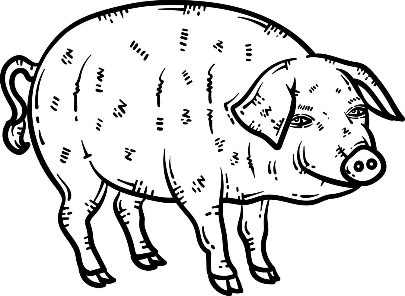 porc animal coloration page pour adulte vecteur