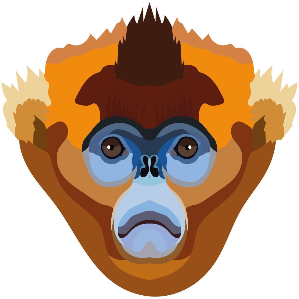 rhinopithèque. le visage de le singe est représenté dans vecteur style. une vif image de une primate. logo, illustration isolé sur blanc Contexte.