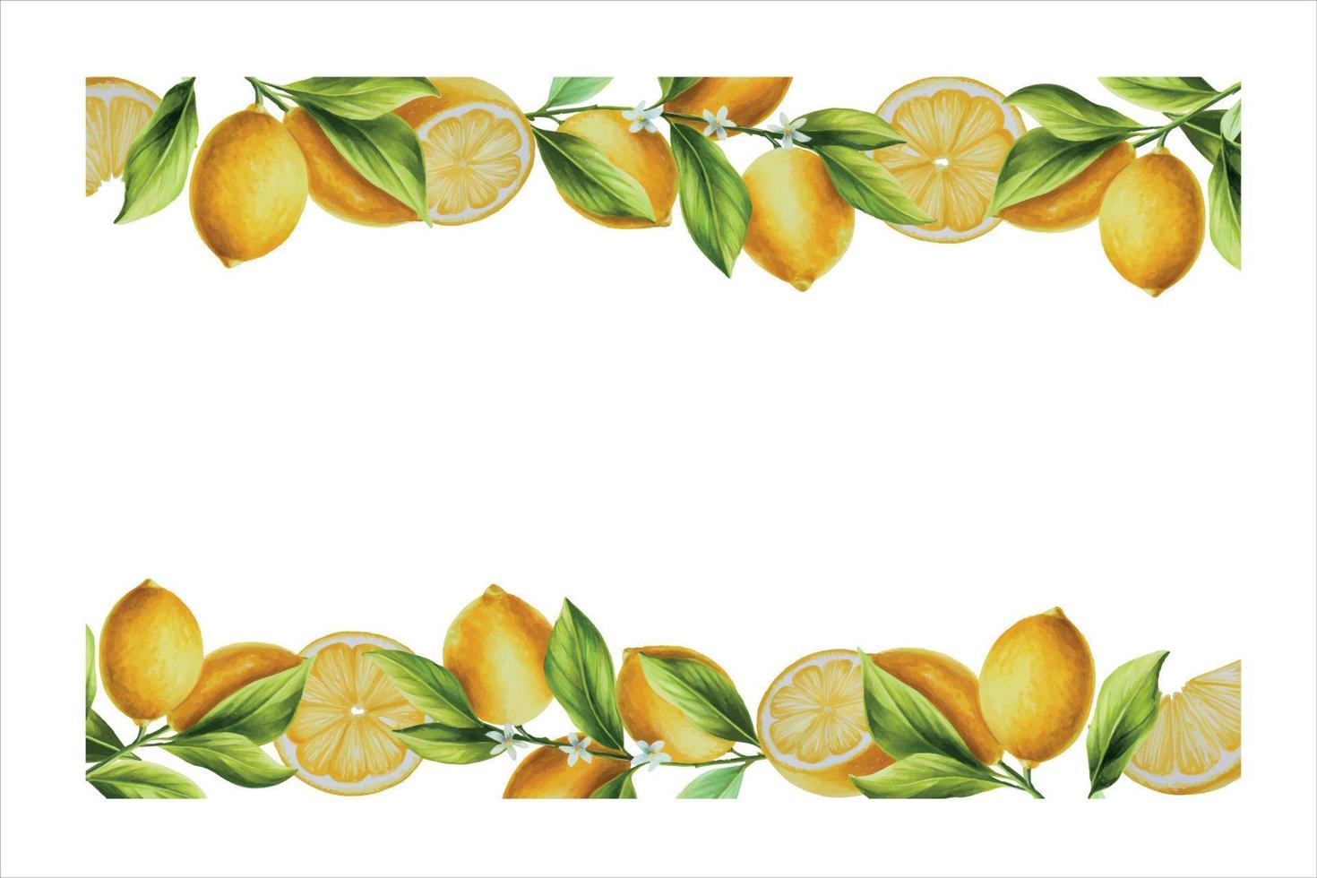 aquarelle bannière avec Frais mûr citron avec brillant vert feuilles et fleurs. main tiré Couper agrumes tranches La peinture sur blanc Contexte vecteur