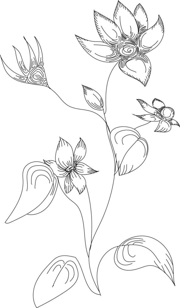 fleurs dessin avec dessin au trait sur blanc arrière-plans vecteur