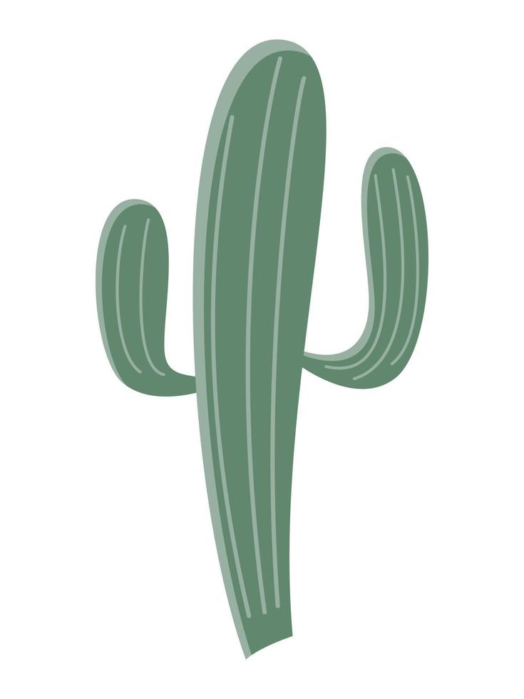 cactus illustration dans une plat style sur une blanc Contexte. Accueil les plantes cactus illustration. vecteur