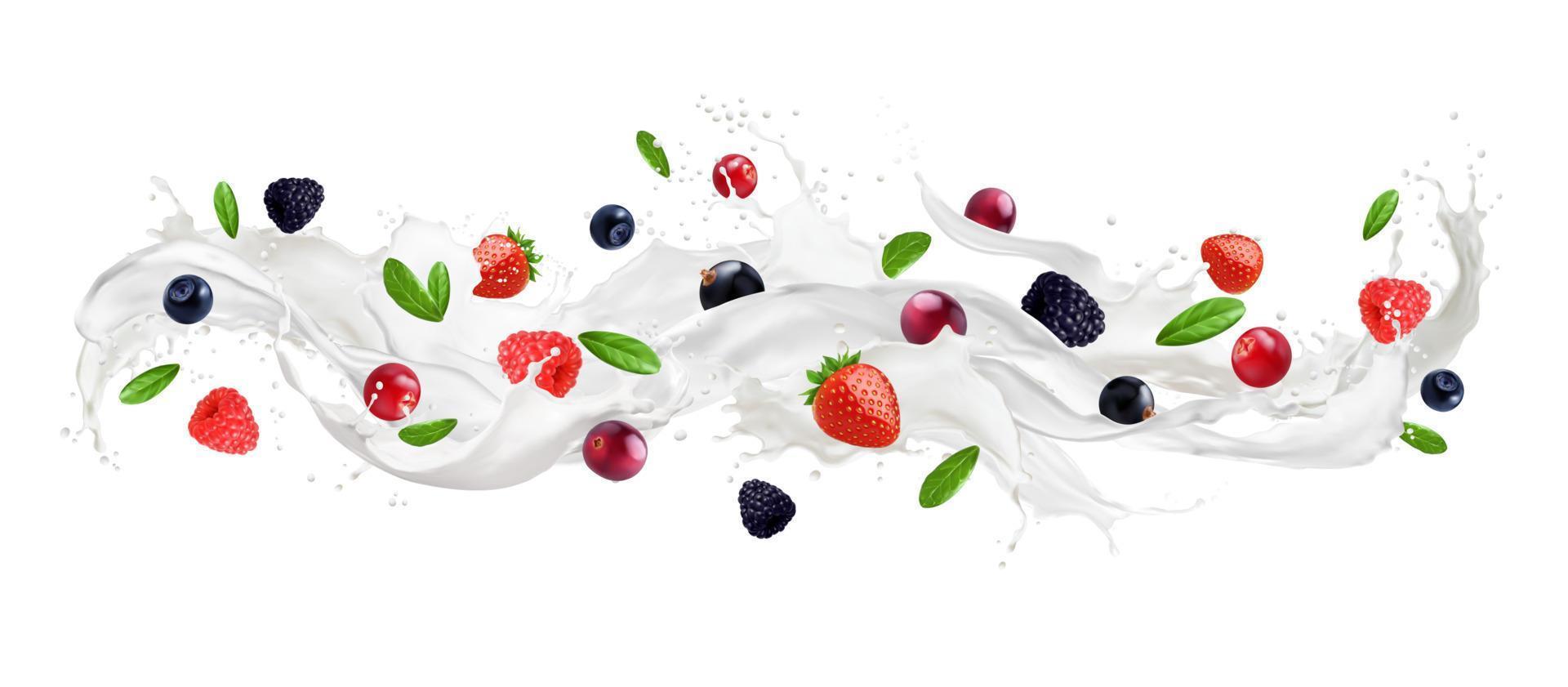 Lait vague éclaboussure avec baies, des fruits, crème gouttes vecteur