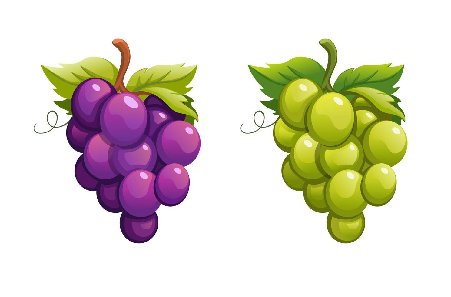 grain de raisin violet et vert Couleur ensemble dessin animé illustration vecteur