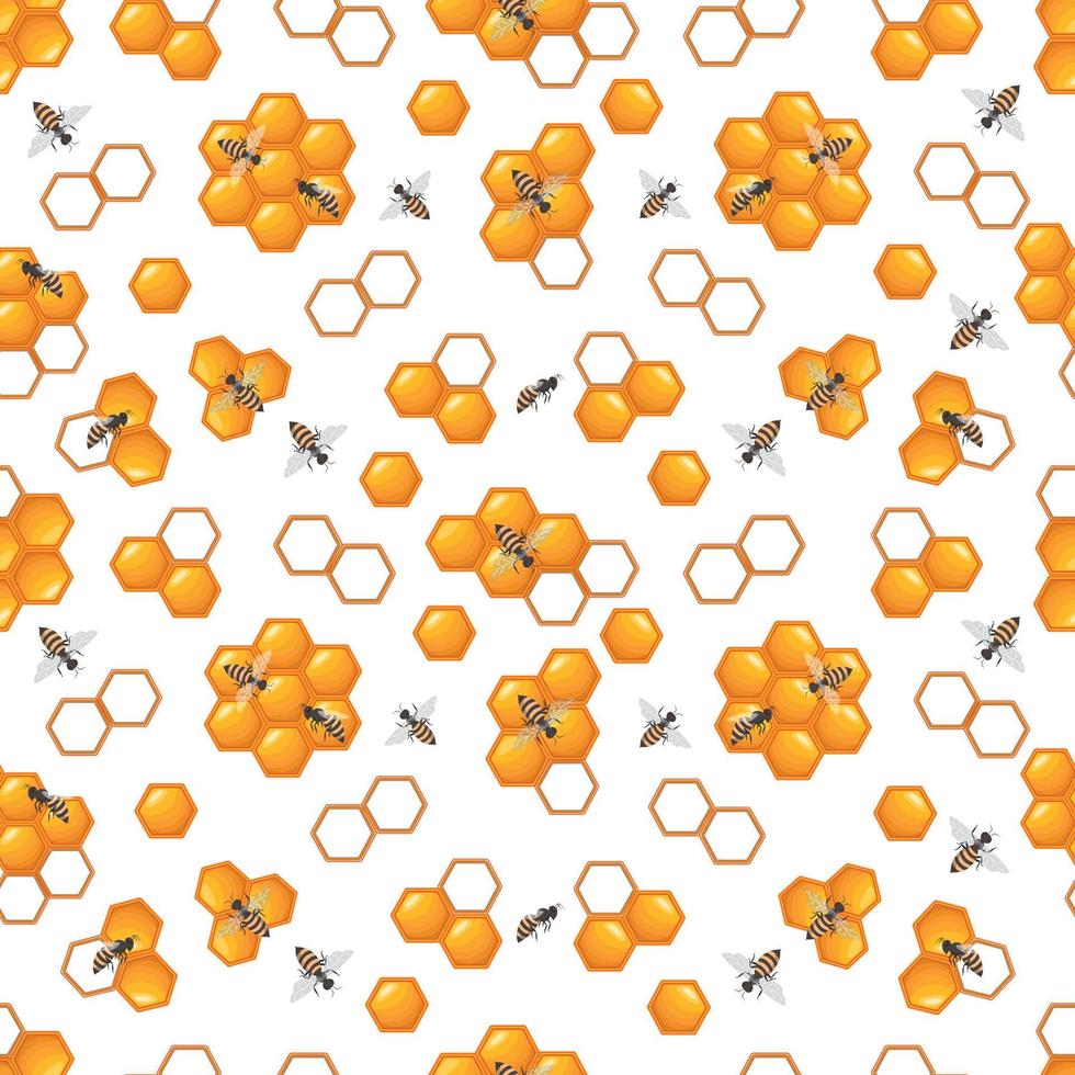 modèle avec les abeilles et nids d'abeille sur une blanc Contexte vecteur