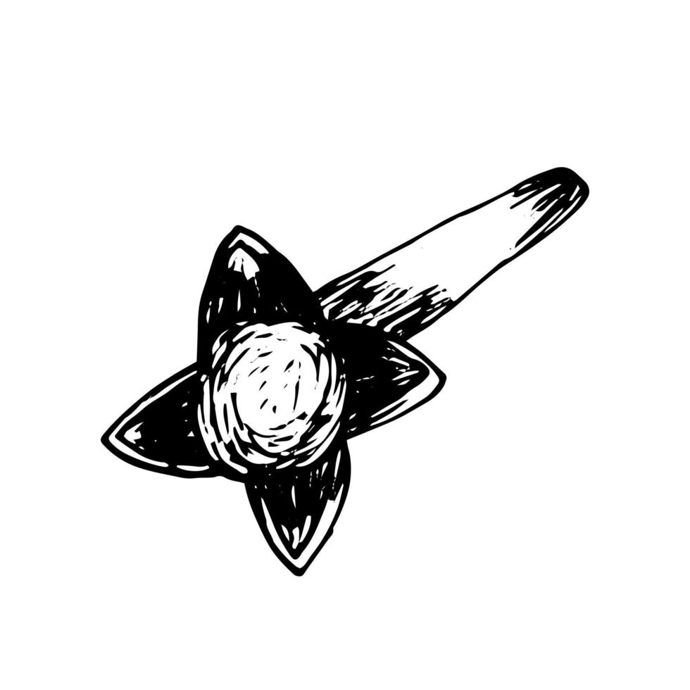 vecteur Clou de girofle esquisser. main tiré séché clous de girofle fleur agrafe art.